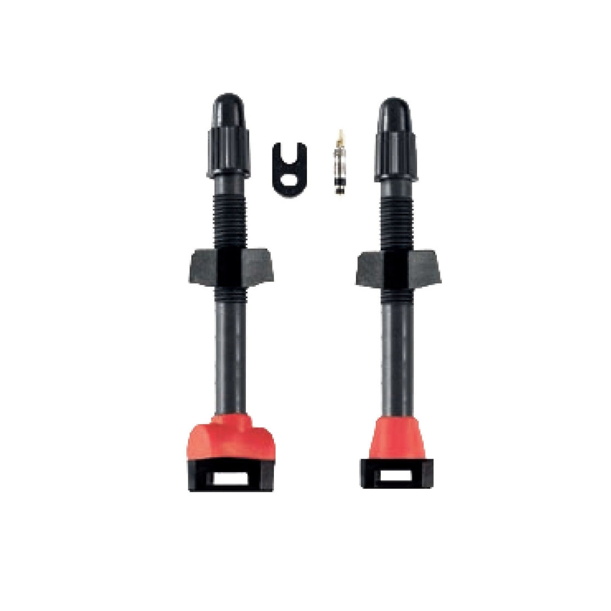 Tubeless Carbon Valves