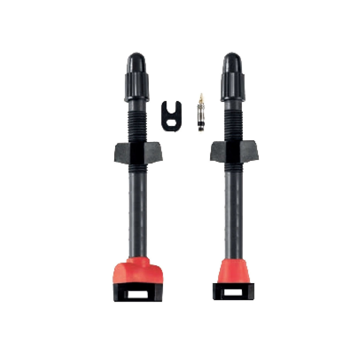Tubeless Carbon Valves